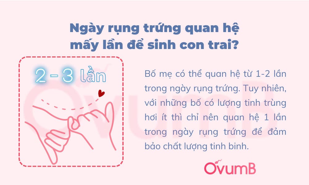 Bố mẹ nên quan hệ từ 2 -3 lần để tăng tỷ lệ thụ thai con trai