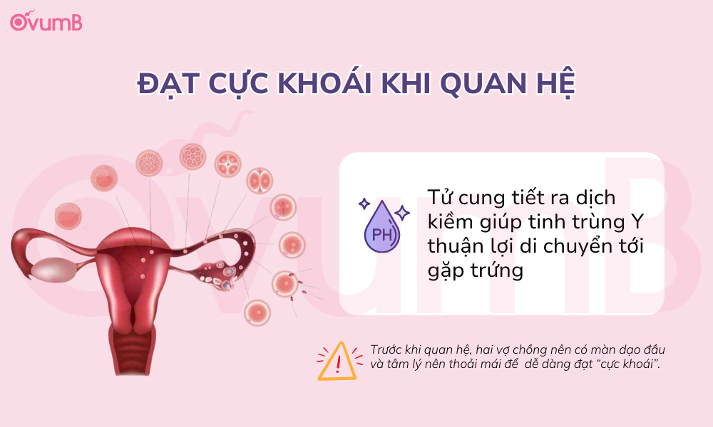 Lên đỉnh khi quan hệ là bí quyết sinh con trai rất cần thiết