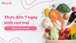 Thực đơn 7 ngày sinh con trai tặng bố mẹ