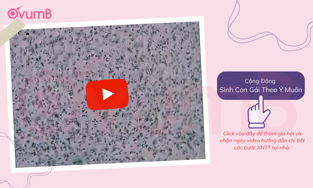 Vào nhóm nhận ngay video hướng dẫn xét nghiệm tinh trùng tại nhà