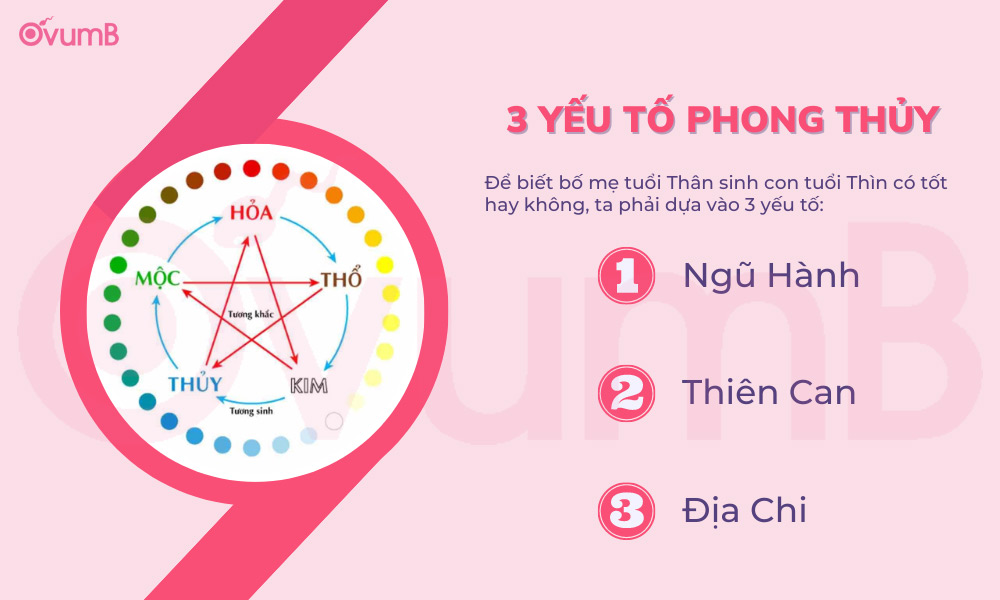 Xét tuổi Thân sinh con năm 2024 dựa vào 3 yếu tố phong thủy