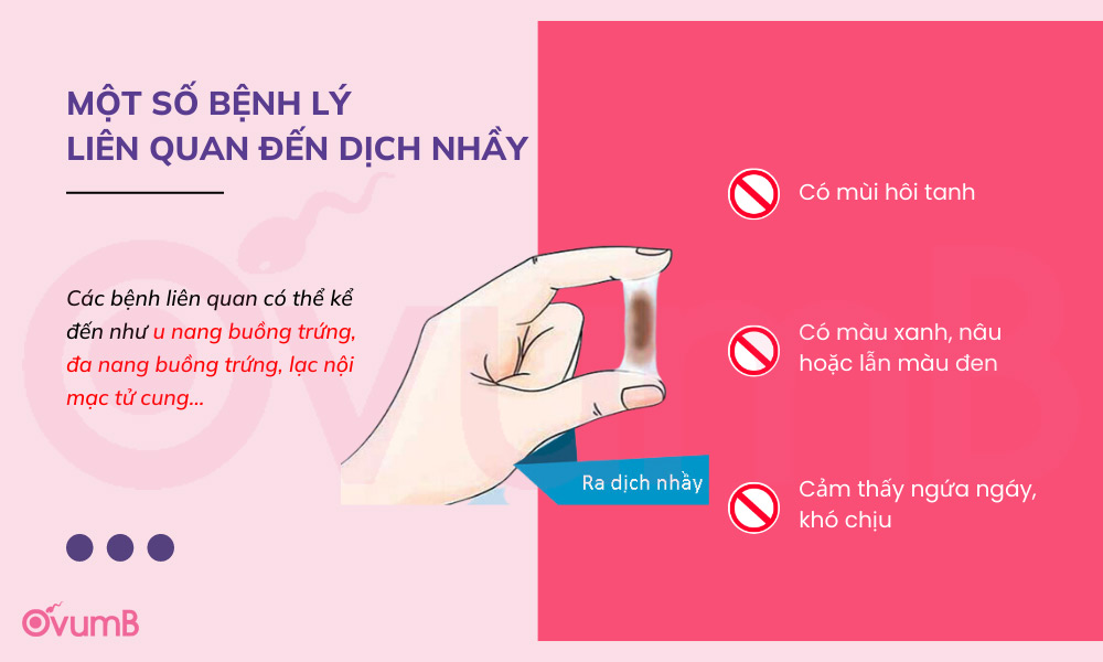 Các bệnh lý liên quan đến dịch nhầy