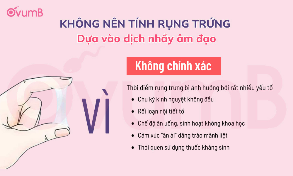 Không nên tính ngày rụng trứng dựa vào dịch nhầy âm đạo