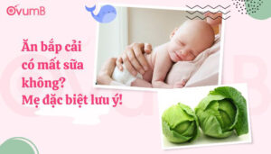 Ăn bắp cải có mất sữa không
