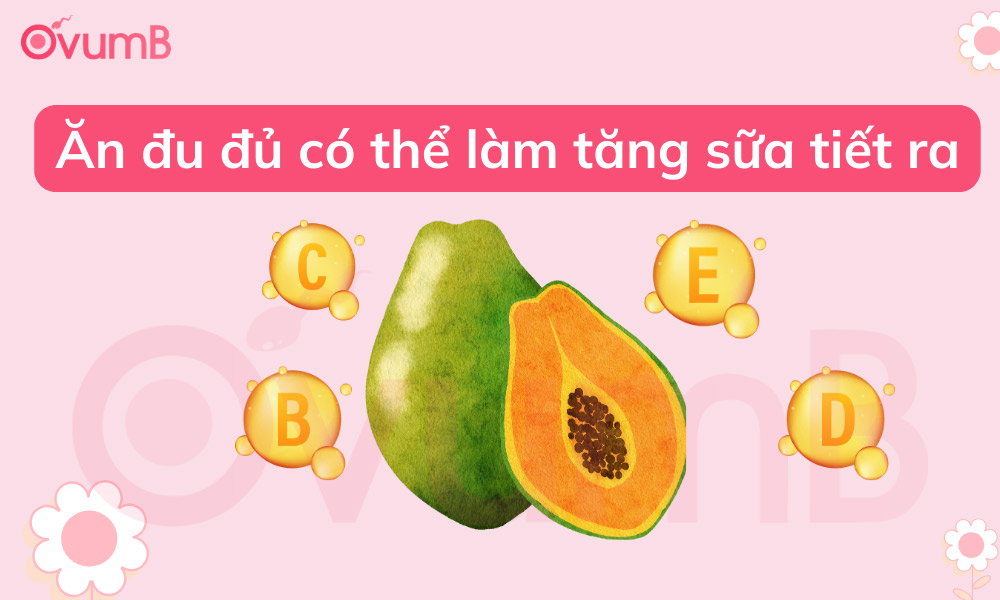 Ăn đu đủ giúp tăng lượng sữa tiết ra