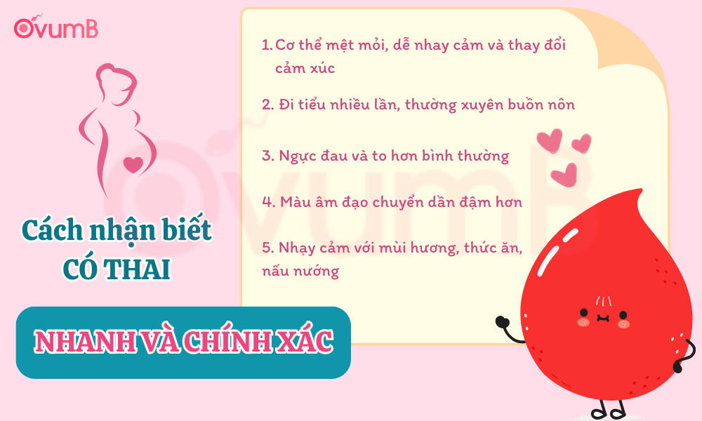 Chưa đến kỳ kinh làm sao biết có thai, nắm ngay những dấu hiệu sau đây