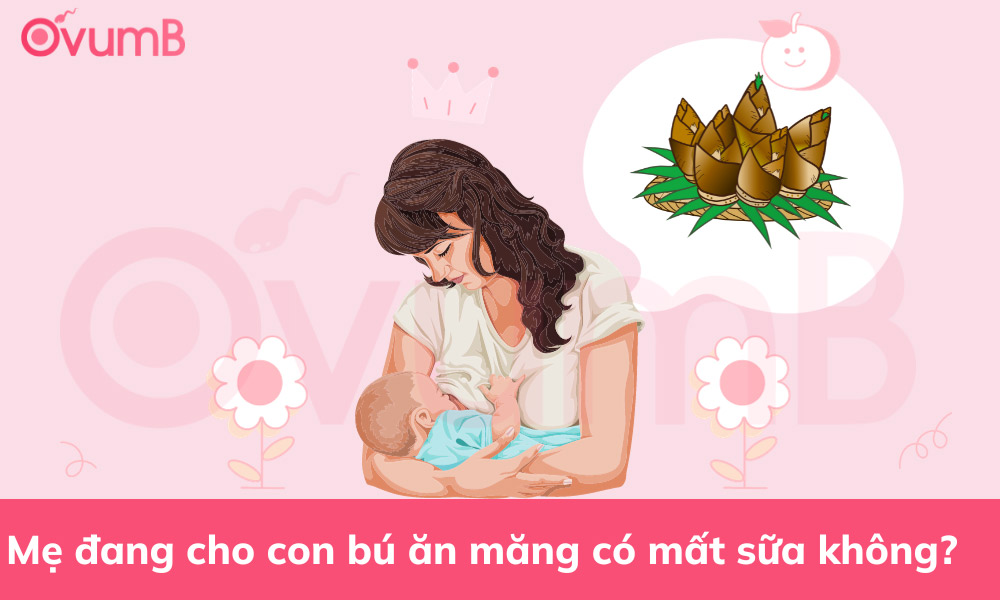 Đang cho con bú ăn măng có bị mất sữa không?
