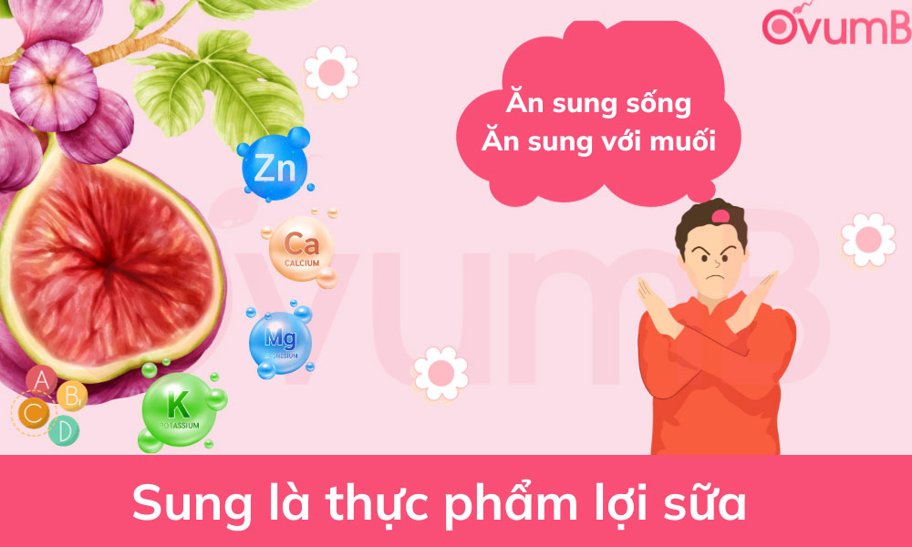 Sung là thực phẩm lợi sữa nên bổ sung hàng ngày