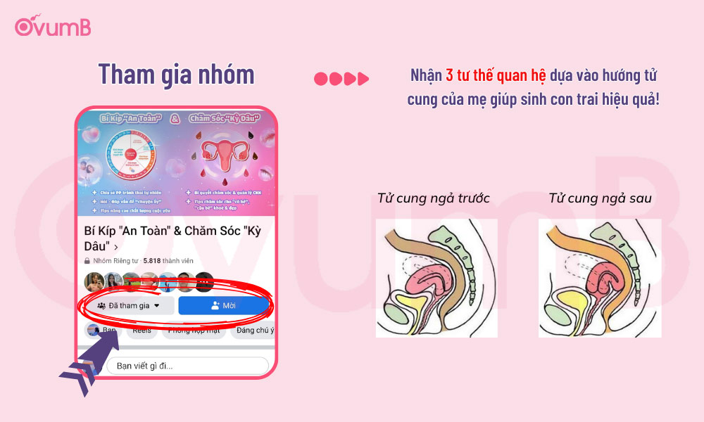Vào nhóm nhận tư thế quan hệ đúng