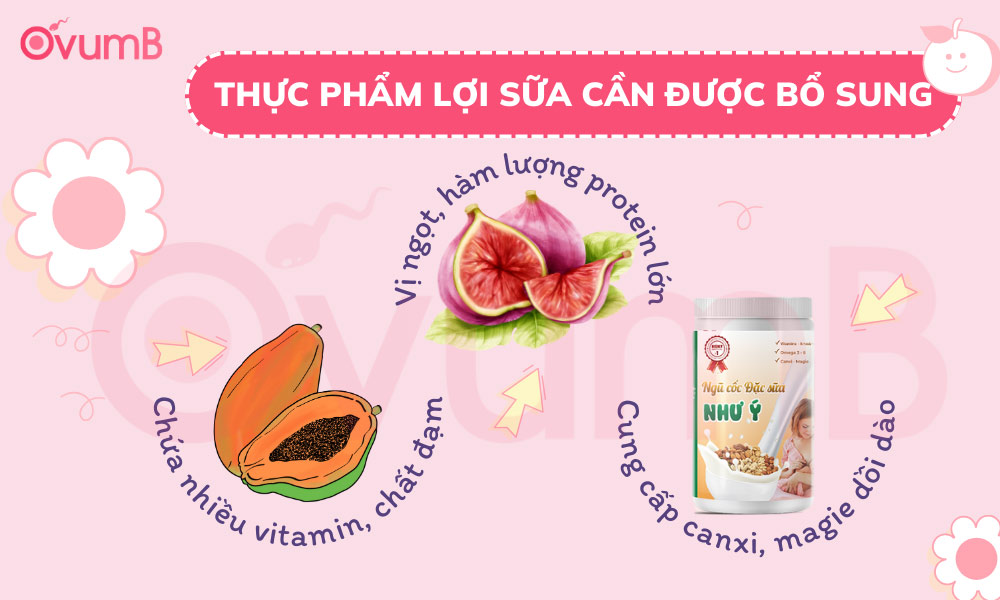 Thực phẩm lợi sữa cần được bổ sung hàng ngày 