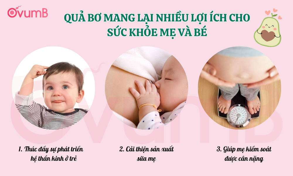 Mẹ sau sinh ăn bơ được không? Câu trả lời là có, bơ mang lại nhiều lợi ích cho sức khỏe của mẹ và bé
