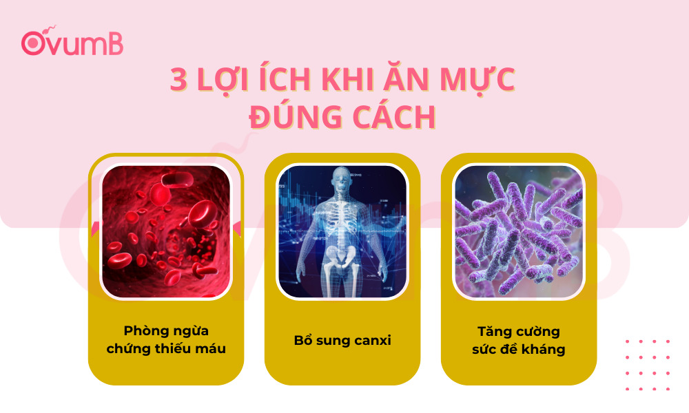 Lợi ích nổi bật khi mẹ ăn mực đúng cách