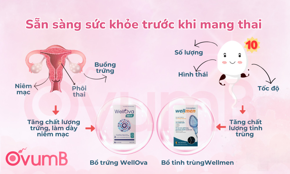 Bố mẹ cần chuẩn bị tốt sức khỏe trước khi mang thai