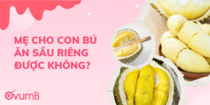 Cho con bú ăn sầu riêng được không