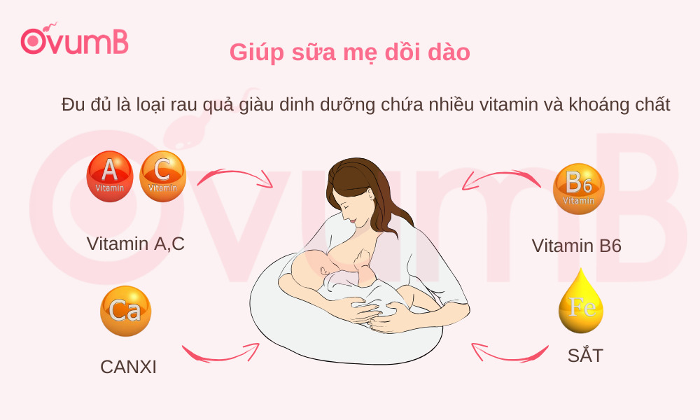 Đu đủ chứa nhiều vitamin khoáng chất