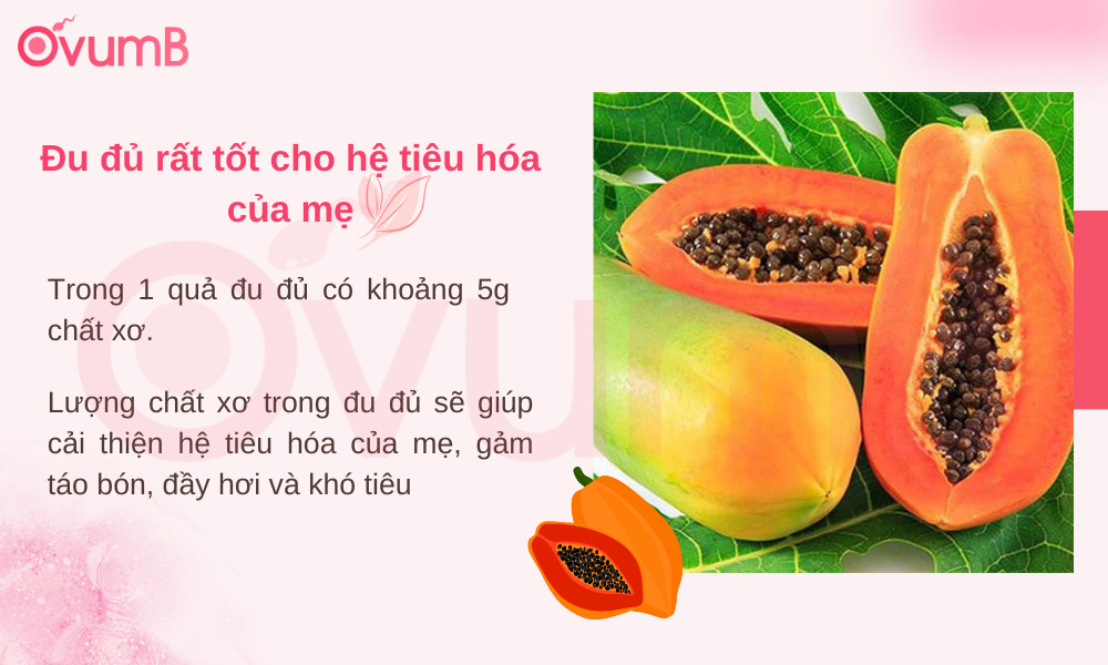 Đu đủ rất tốt cho hệ tiêu hóa của mẹ