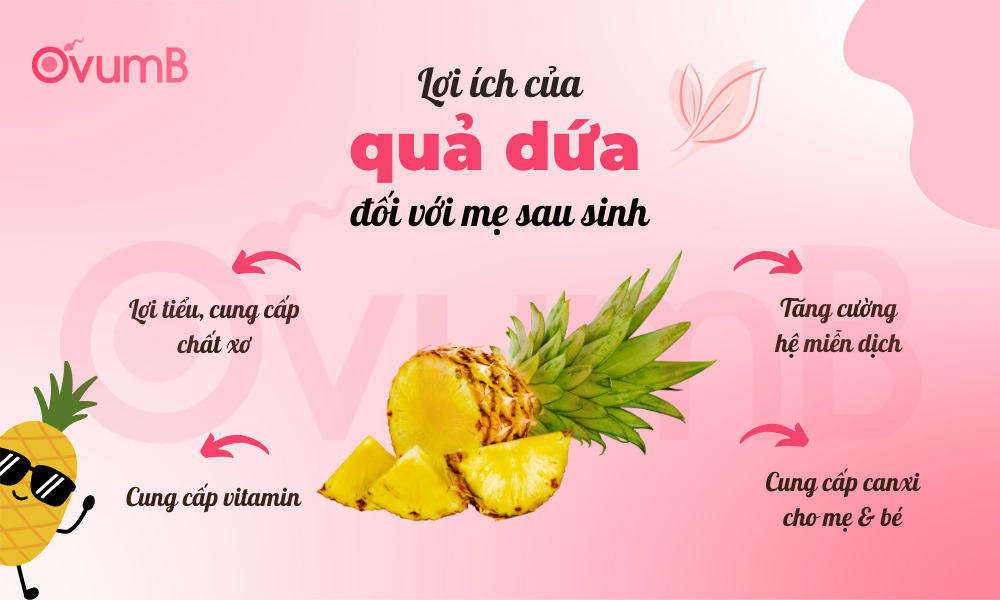 Lợi ích của dứa đối với mẹ sau sinh