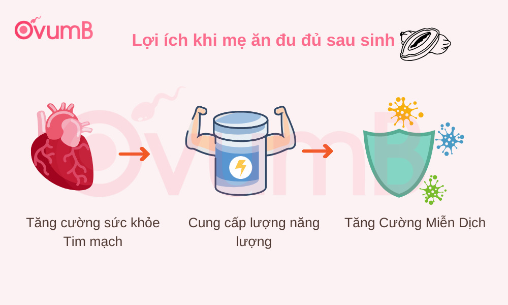 Lợi ích khi mẹ ăn đu đủ sau sinh