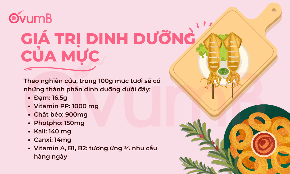 Mực là loại thực phẩm có rất nhiều chất dinh dưỡng