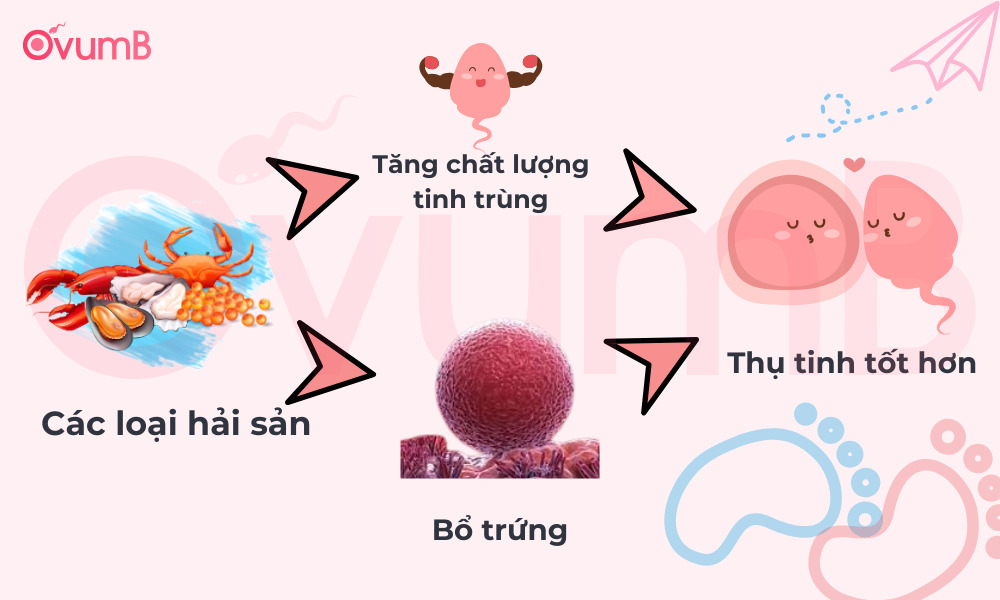Ăn hải sản để sinh con trai