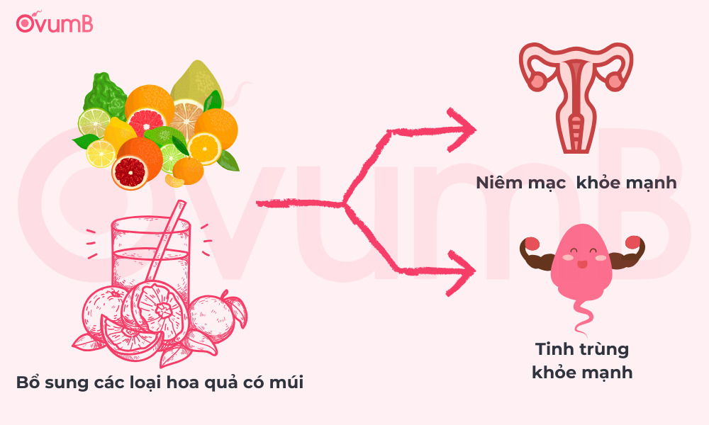 Ăn loại quả có múi để sinh con trai