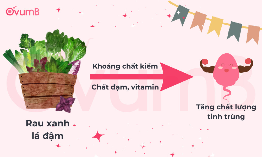 Ăn gì để sinh con trai, bổ sung ngay rau xanh lá đậm