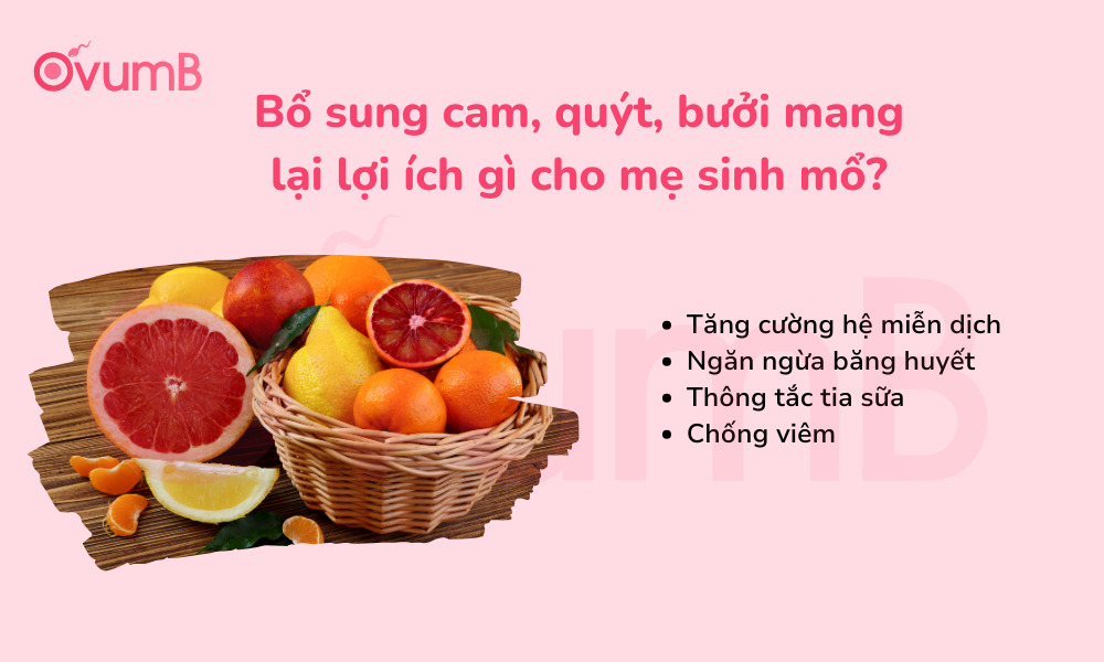 Bổ sung cam quýt bưởi giúp mẹ tăng cường miễn dịch