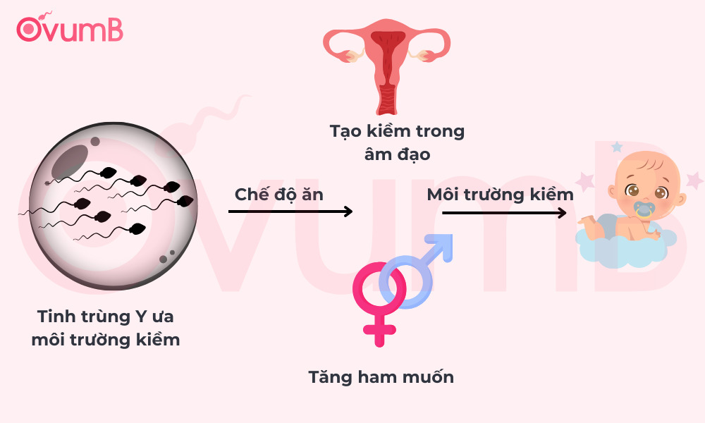 Lý do cần tạo môi trường kiềm