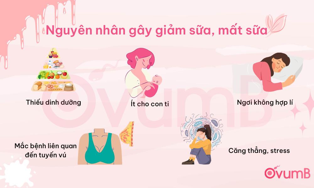 Một số nguyên nhân gây mất sữa ở mẹ