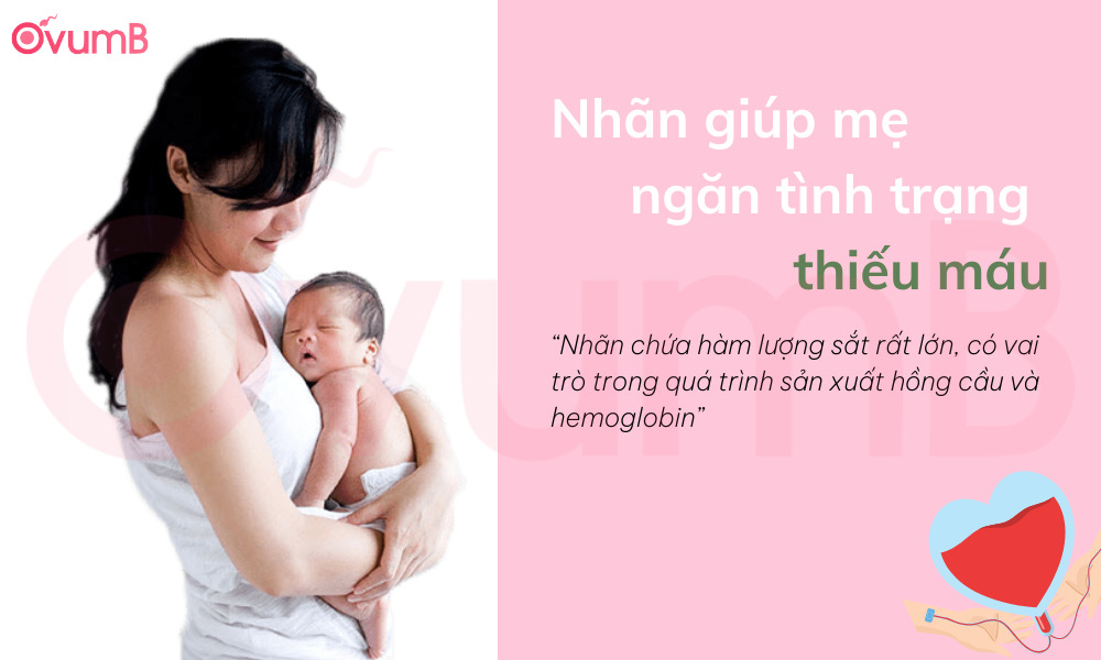 Nhãn giúp mẹ ngăn ngừa tình trạng thiếu máu
