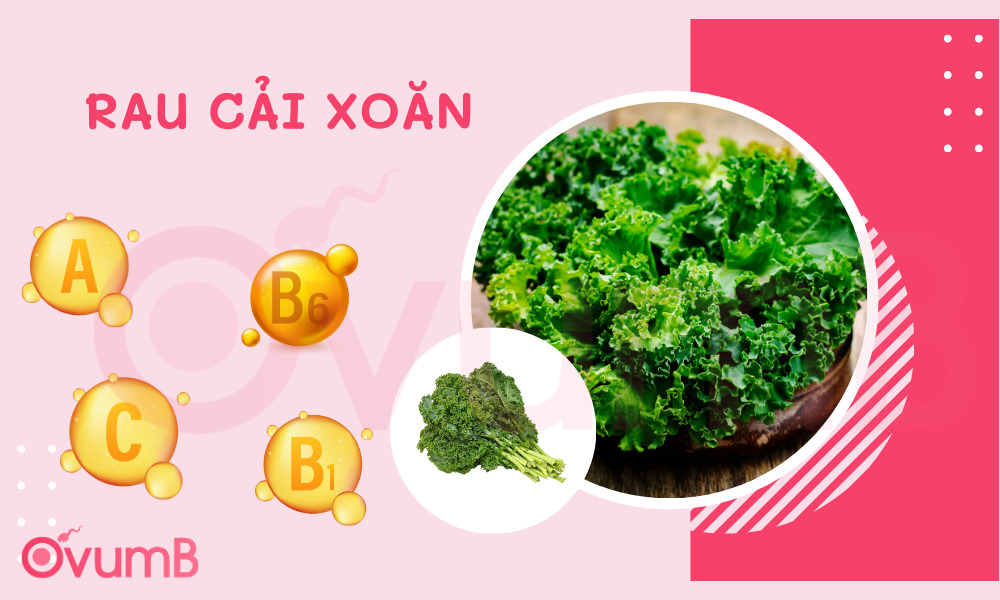 Rau cải xoăn bổ sung các chất dinh dưỡng để tạo sữa