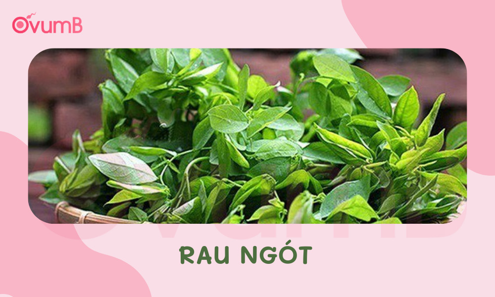 Rau ngót quen thuộc, dễ tìm