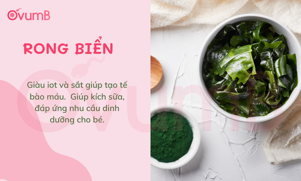 Rong biển giàu ion và sắt giúp kích sữa