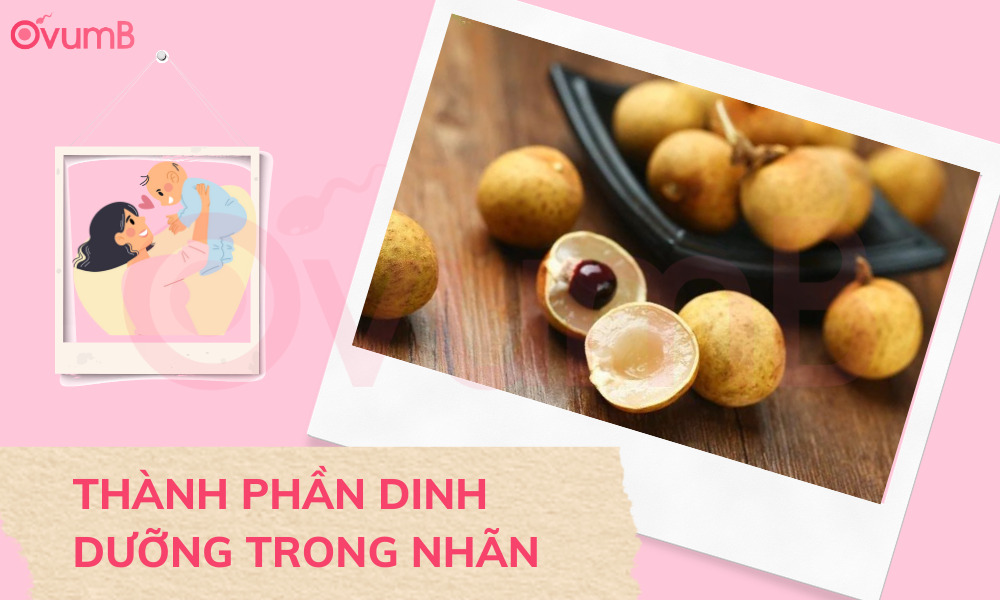 Trong nhãn có nhiều thành phần dinh dưỡng