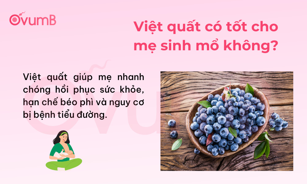 Việt quất là loại quả rất tốt cho mẹ sau sinh mổ