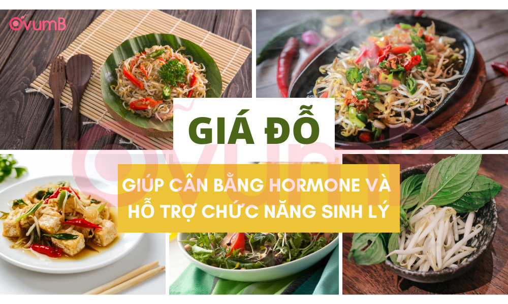 Giá đỗ là thực phẩm tốt cho sinh lý nam giới