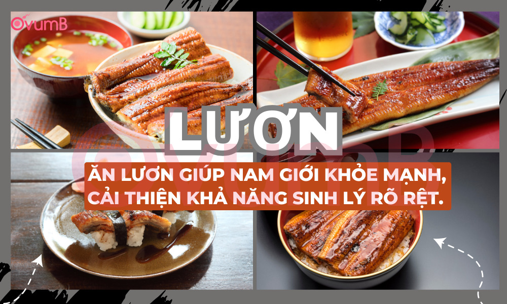 Lươn giúp những quý ông tràn trề sinh lực