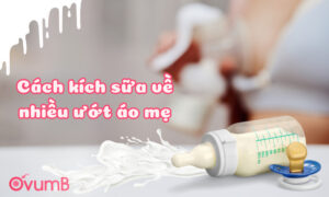Cách kích sữa về nhiều