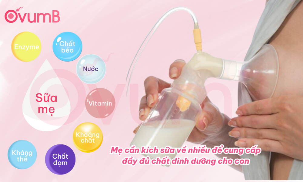 Sữa mẹ có nhiều dinh dưỡng nên mẹ cần kích sữa về nhiều