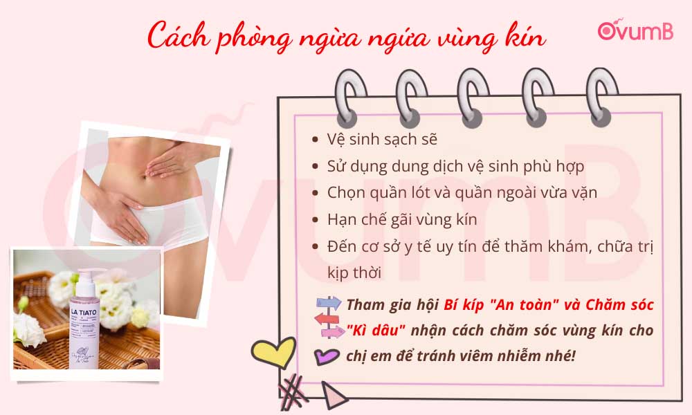 Vệ sinh sạch sẽSử dụng dung dịch vệ sinh phù hợp Chọn quần lót và quần ngoài vừa vặn Hạn chế gãi vùng kín Đến cơ sở y tế uy tín để thăm khám, chữa trị kịp thời Tham gia hội Bí kíp "An toàn" và Chăm sóc "Kì dâu" nhận cách chăm sóc vùng kín cho chị em để tránh viêm nhiễm nhé!