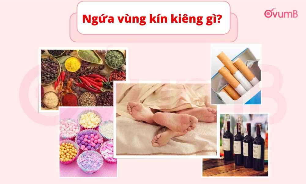 Khi bị ngứa vùng kín, cần:- Tránh quan hệ tình dục - Tránh lạm dụng các loại dung dịch vệ sinh phụ nữ có tính sát khuẩn khuẩn cao - Tránh ăn các đồ cay nóng, đồ ngọt, dầu mỡ, hải sản và các loại chất kích thích