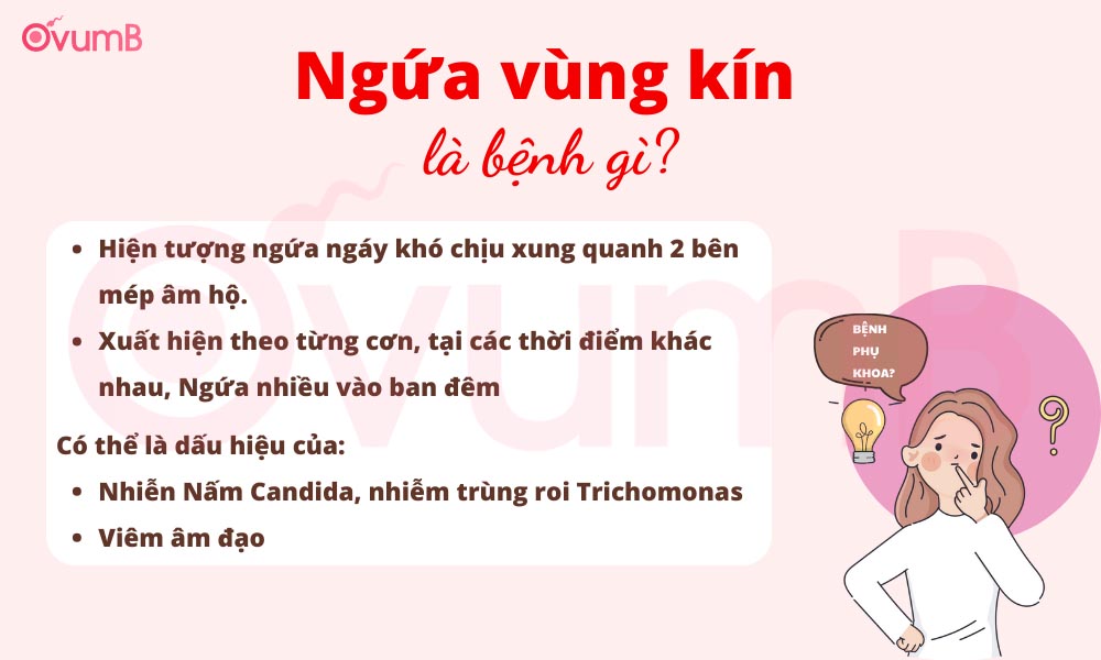 Ngứa vùng kín là:- Hiện tượng ngứa ngáy khó chịu xung quanh 2 bên mép âm hộ. - Xuất hiện theo từng cơn, tại các thời điểm khác nhau, ngứa nhiều vào ban đêm Có thể là dấu hiệu của: - Nhiễn Nấm Candida, nhiễm trùng roi Trichomonas - Viêm âm đạo