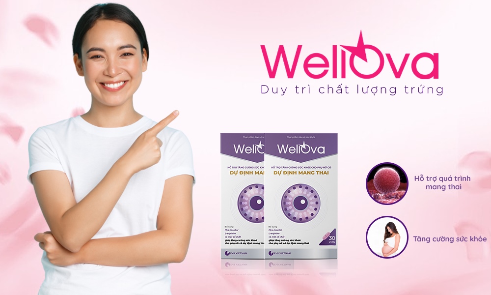 Bổ trứng WellOva