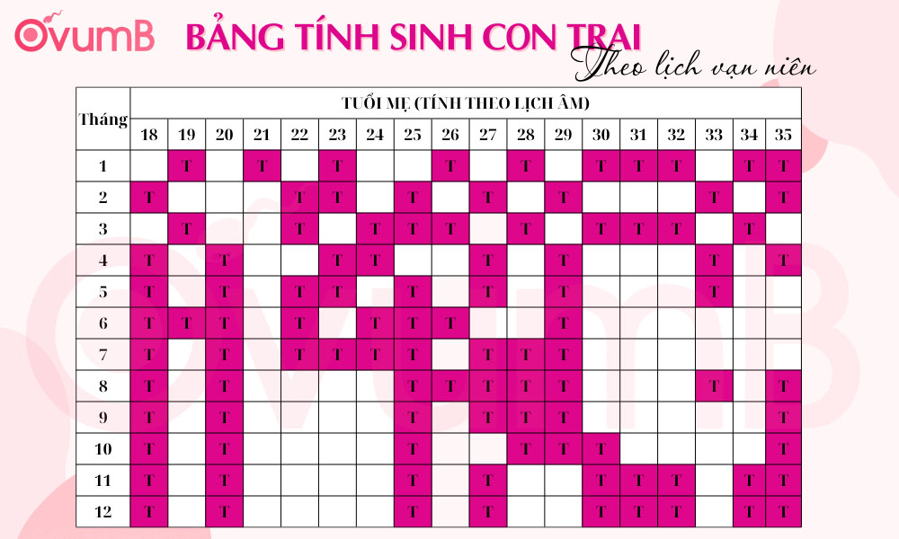 Bảng tính sinh con trai chuẩn