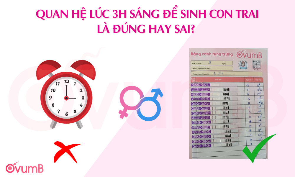 Quan hệ lúc 3h sáng để sinh con trai đúng hay sai?