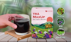 tra-maxup-chiet-xuat-tu-cac-thanh-phan-tu-nhien