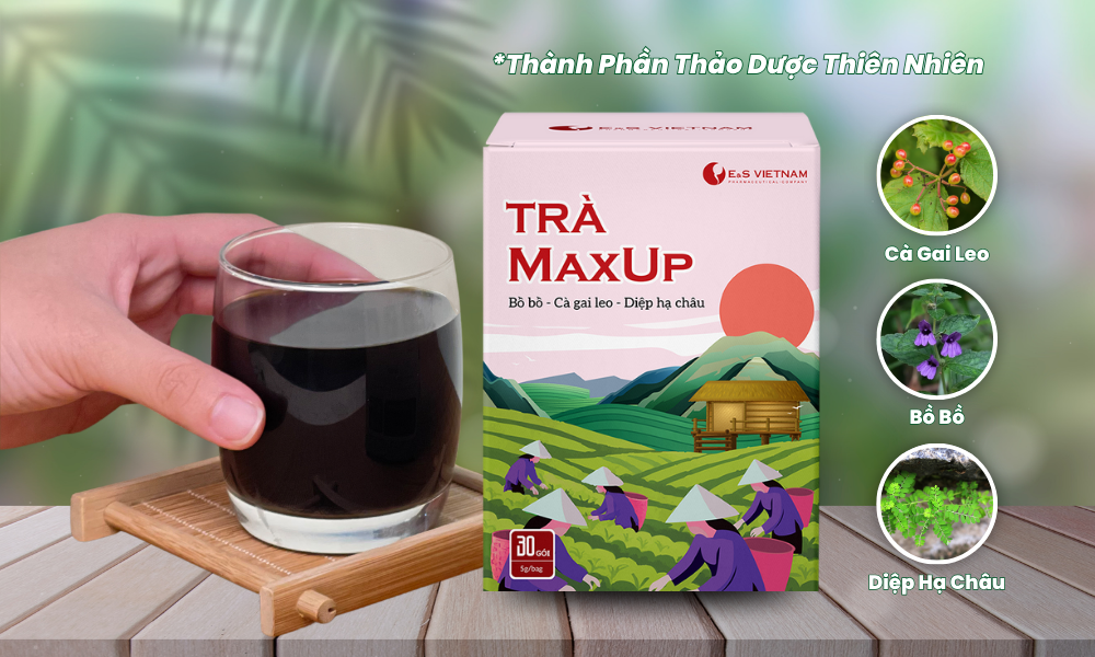 tra-maxup-chiet-xuat-tu-cac-thanh-phan-tu-nhien